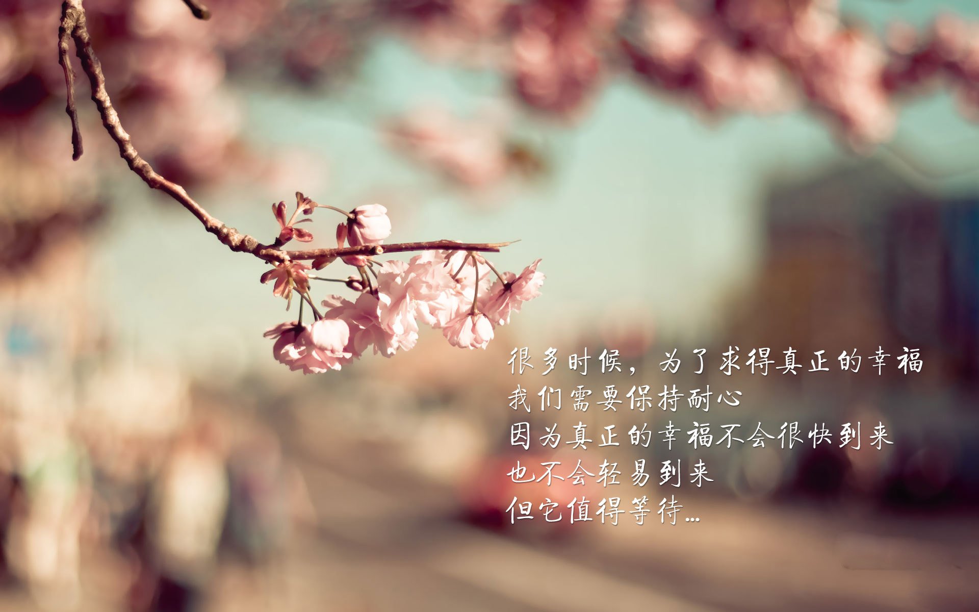 国足球员体能衰减与战术执行力下降关系,足球运动员体能差