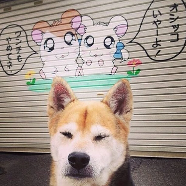 德甲青训心理韧性培养促进比赛压力应对能力