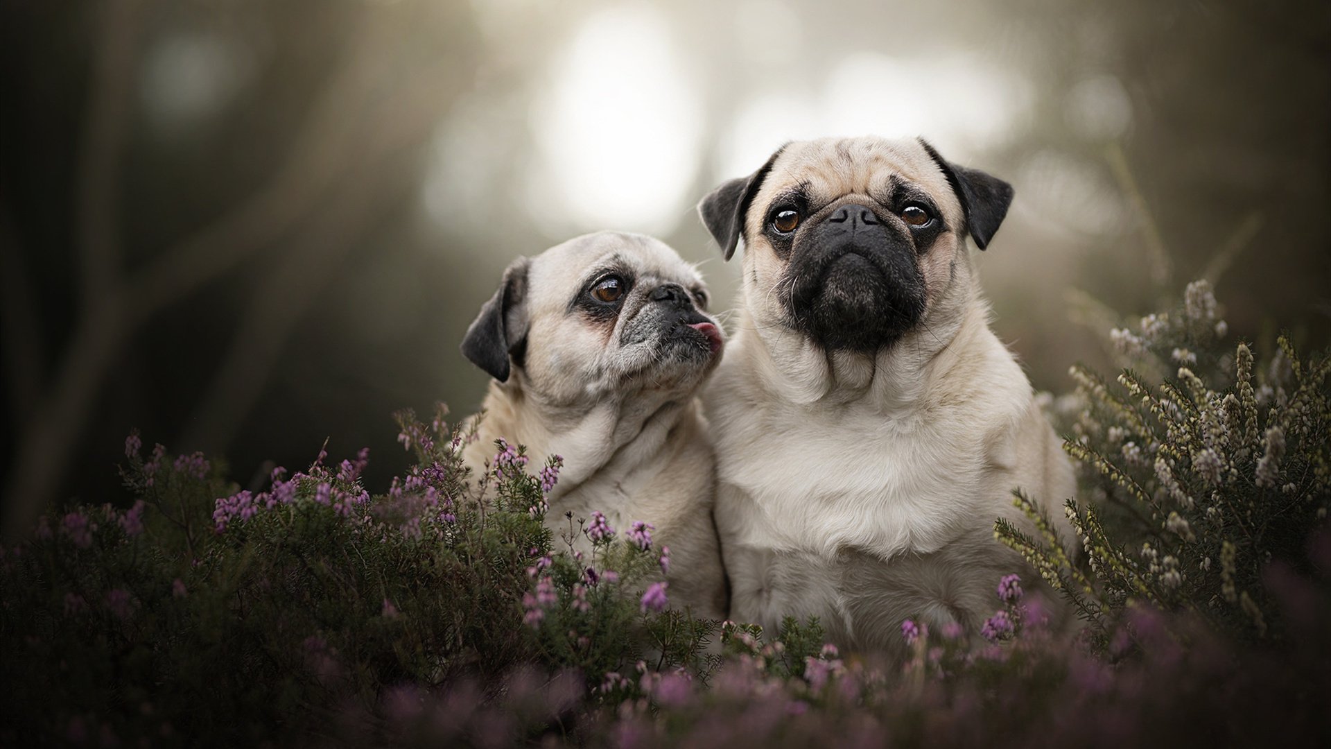 世界杯预选赛中国队平局 战术调整获认可,世界杯预选赛平局怎么办