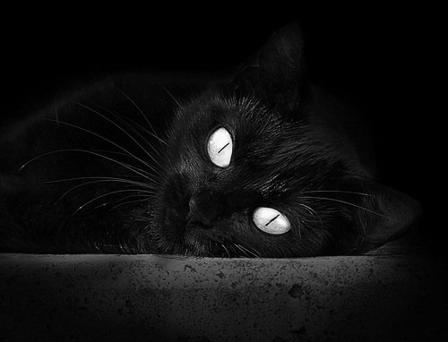 中国男篮攻防转换效率明显提高，中国男篮面临一个可怕的对手