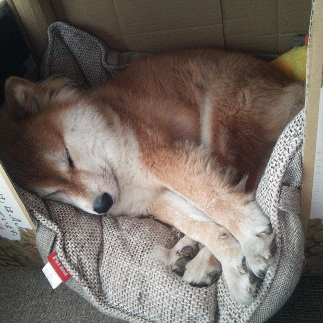 乒乓球竞赛引入随机对手训练机制，乒乓球比赛对手是抽签吗