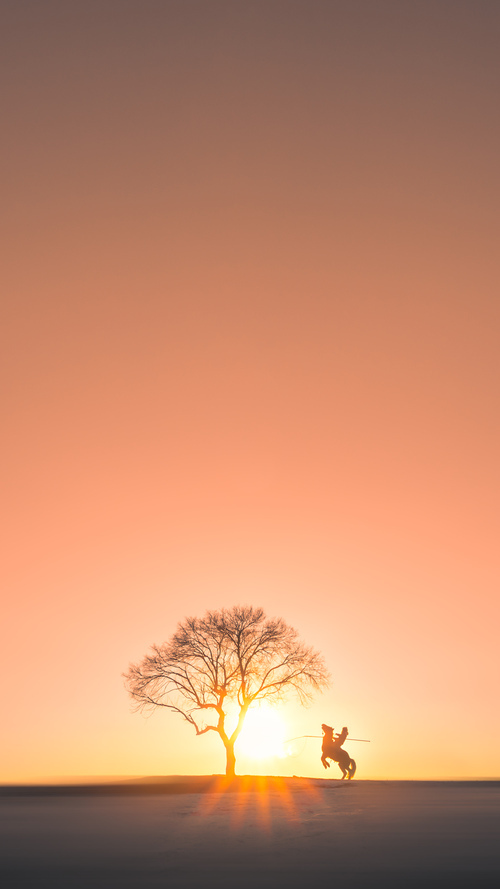 乐鱼电竞在线平台-王楚钦拍摄纪录片展示幕后生活，王楚钦拍摄纪录片展示幕后生活视频