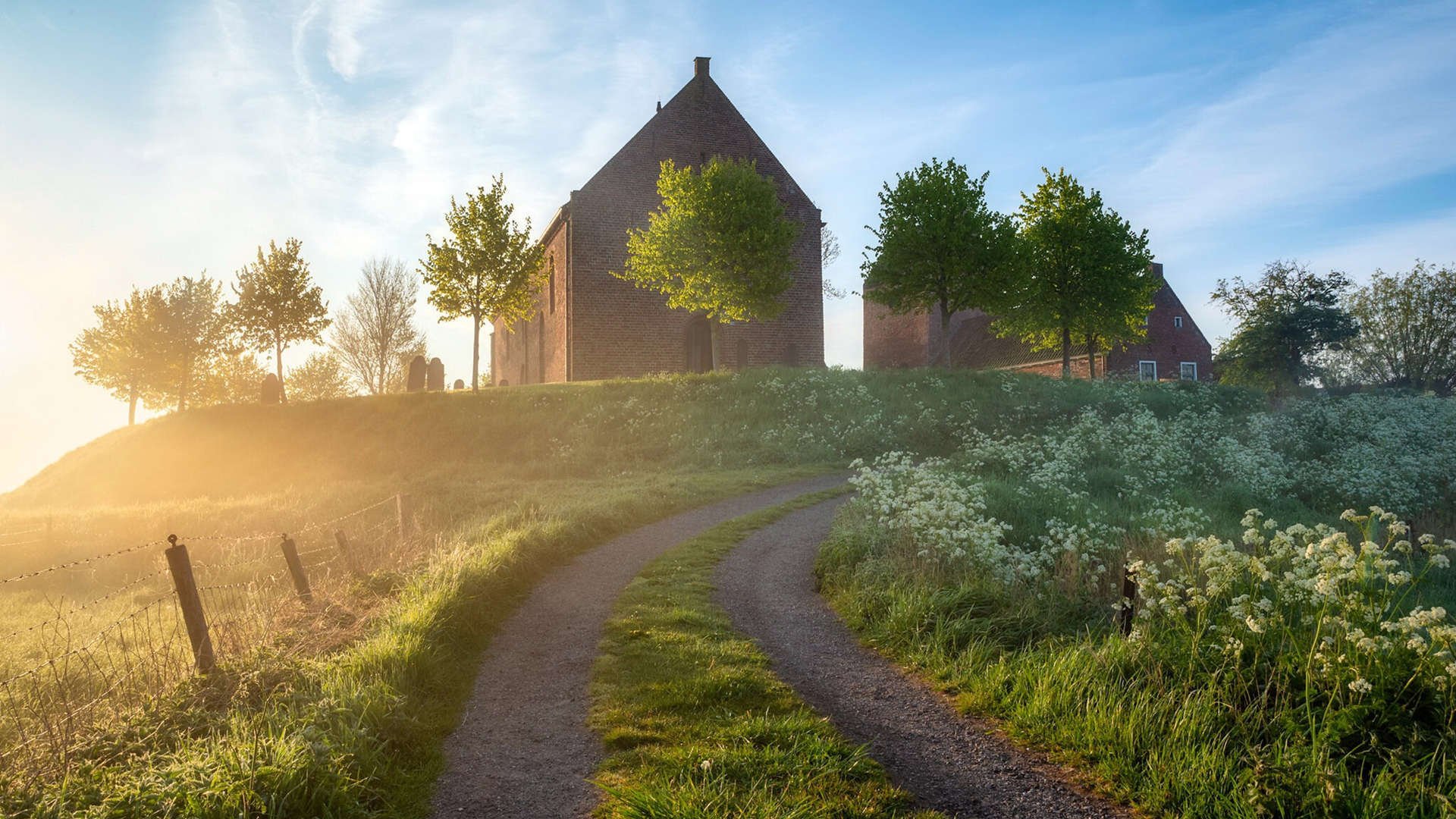 苏炳添百米冲刺再创佳绩，苏炳添百米冲刺成绩